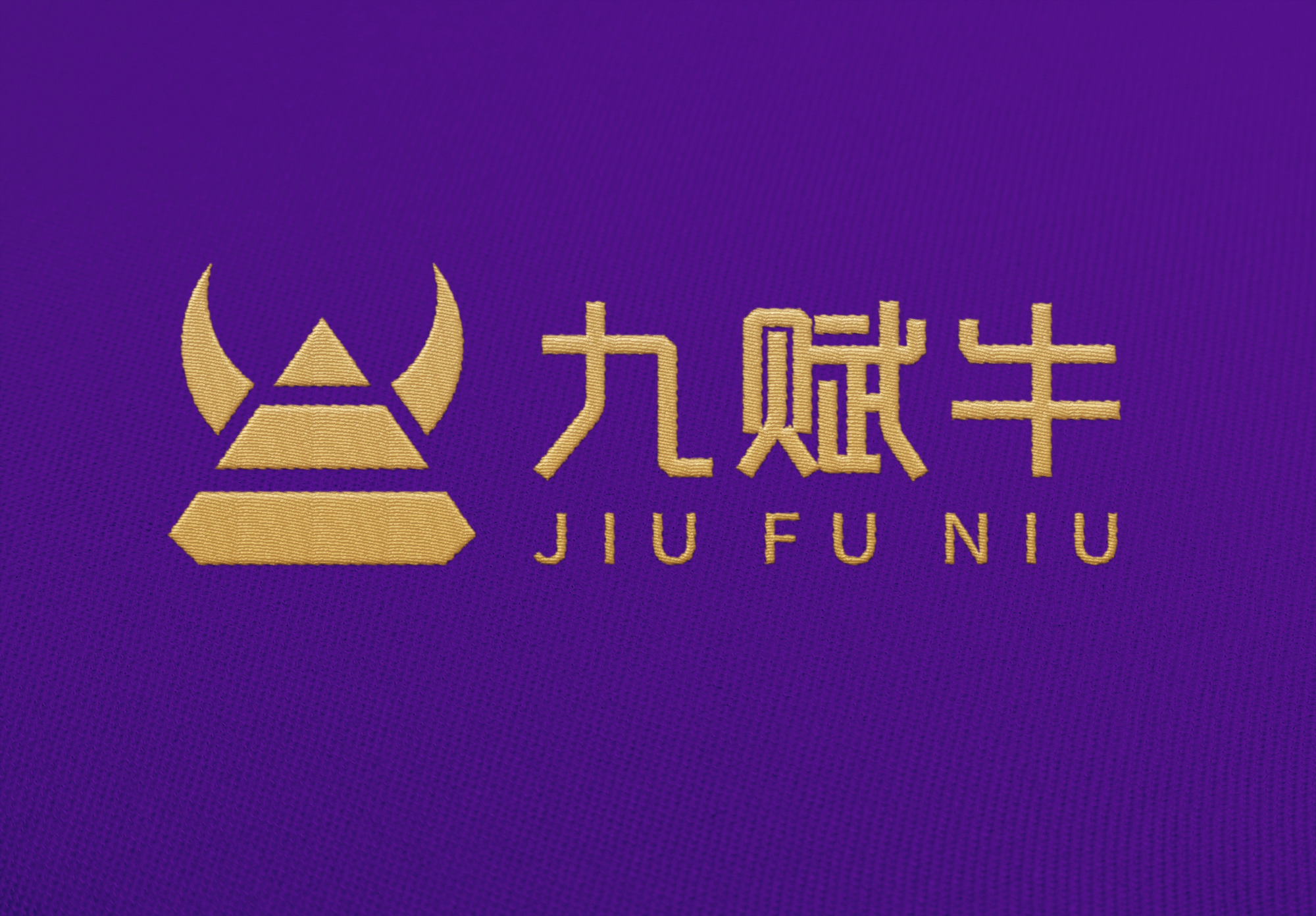 南寧教育投資機(jī)構(gòu)“九賦?！?品牌logo設(shè)計(jì)